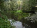 Mnohé odstíny zeleně na řece Metuji pod Náchodem, pod lesem zvaným Sklopce.