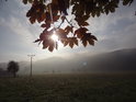 Levobřežní niva Metuje Sluncem zalitá, listím stíněná v Bělovsi za podzimního rána.