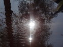 Odlesk prudkého podzimního Slunce v hladině Metuje u bývalého mlýna.